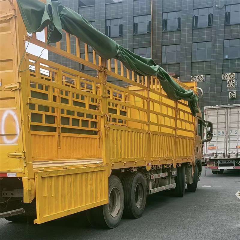 辽宁抚顺东洲至宜宾货运专线一站式物流服务，让货物畅行无忧