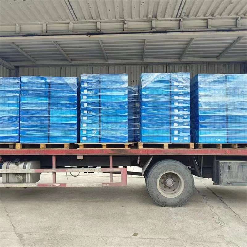辽宁抚顺东洲至湛江货运专线一站式物流服务，让您的货物畅行无忧